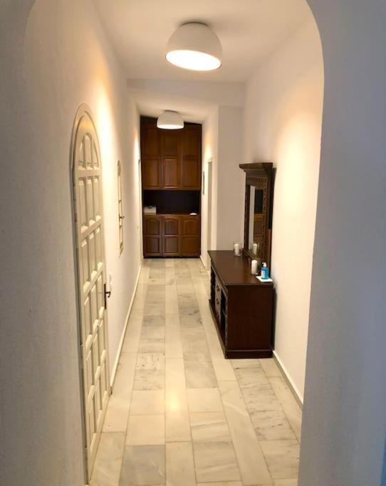 Villa Artemis In Small Kounoupi 波多河丽 外观 照片