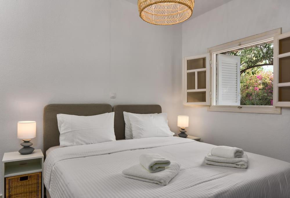 Villa Artemis In Small Kounoupi 波多河丽 外观 照片