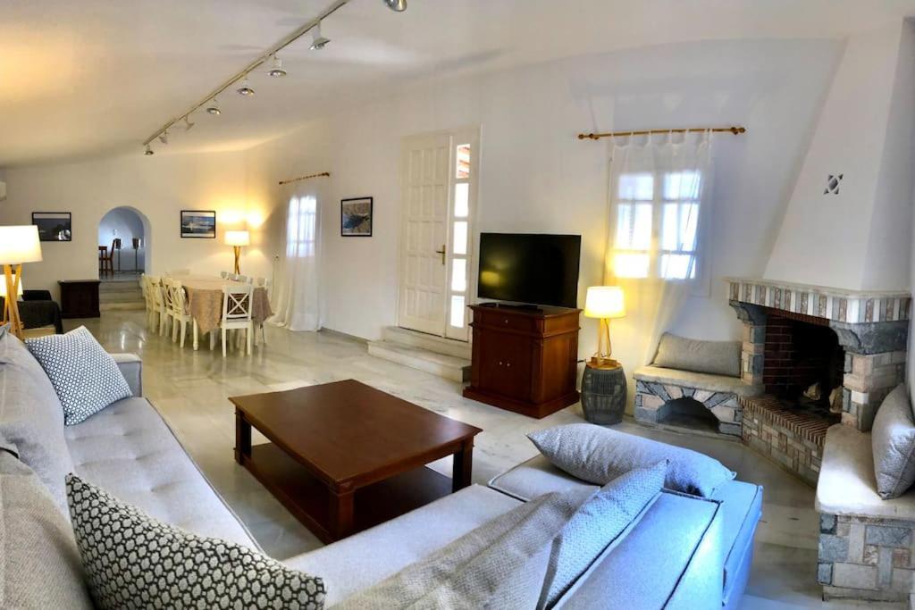 Villa Artemis In Small Kounoupi 波多河丽 外观 照片