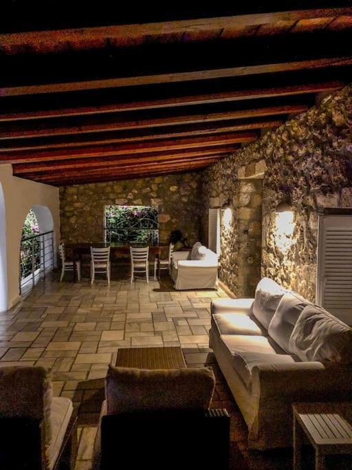 Villa Artemis In Small Kounoupi 波多河丽 外观 照片