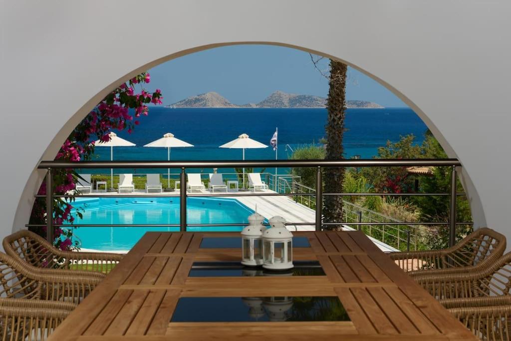 Villa Artemis In Small Kounoupi 波多河丽 外观 照片