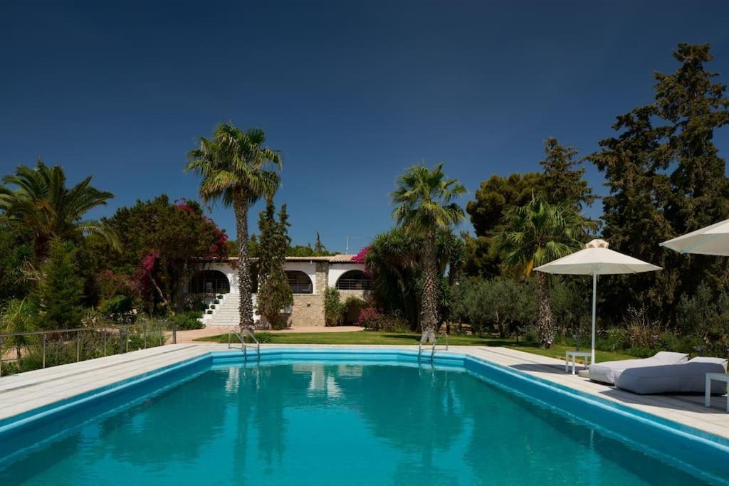 Villa Artemis In Small Kounoupi 波多河丽 外观 照片