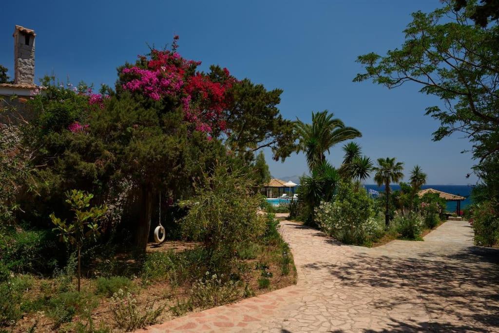 Villa Artemis In Small Kounoupi 波多河丽 外观 照片