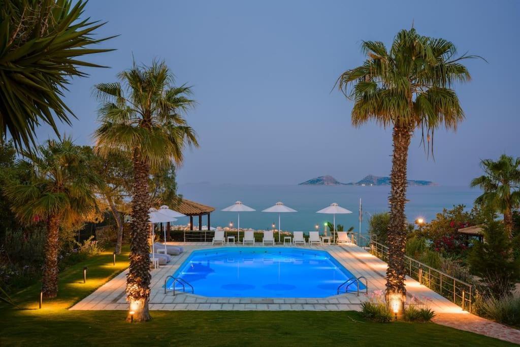Villa Artemis In Small Kounoupi 波多河丽 外观 照片